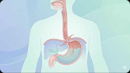 2026 역류성 식도염(위식도역류질환, GERD) 완벽 가이드 — 초기 증상·원인·진단 검사·약물 치료(PPI·H2차단제)·식단·생활습관·수술·재발 방지까지 총정리