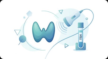2026 갑상선 검사 완벽 가이드 — 갑상선기능검사(TSH·T3·T4)·갑상선초음파·세침흡인검사·비용·결과 해석·검진 주기 총정리