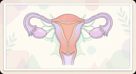 2026 자궁외임신(Ectopic Pregnancy) 완벽 가이드 — 원인·초기 증상(하복부 통증·부정출혈)·위험인자(골반염·난관수술·IVF)·진단 검사(β-hCG·초음파)·치료법(메토트렉세이트·복강경 수술)·수술 후 관리·재발 방지·향후 임신 가능성까지 총정리
